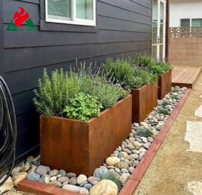 sab nraum zoov hlau planter